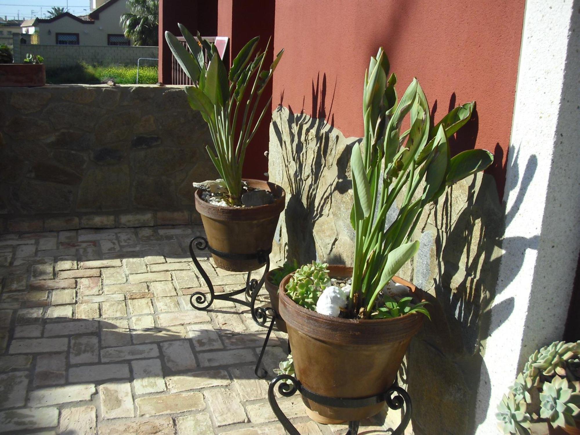 La Posada De Menchu Sanlucar de Barrameda Bagian luar foto